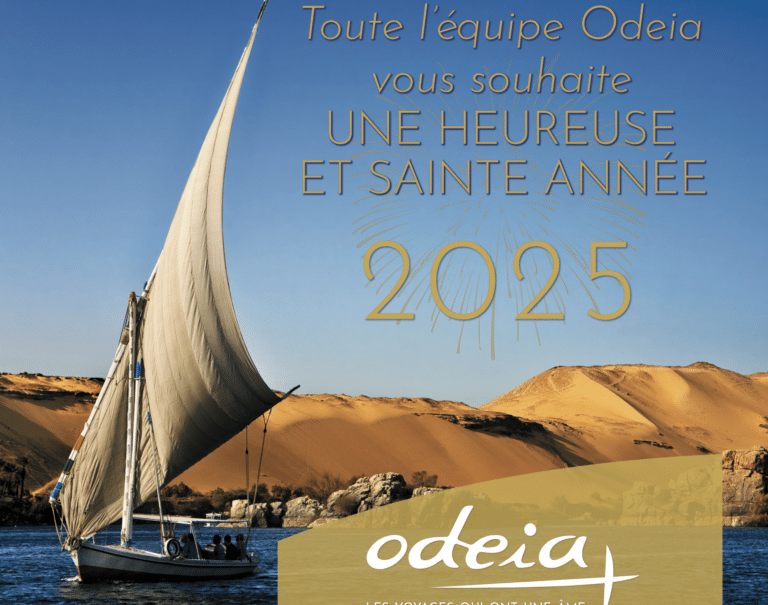 Voeux bonne année 2025