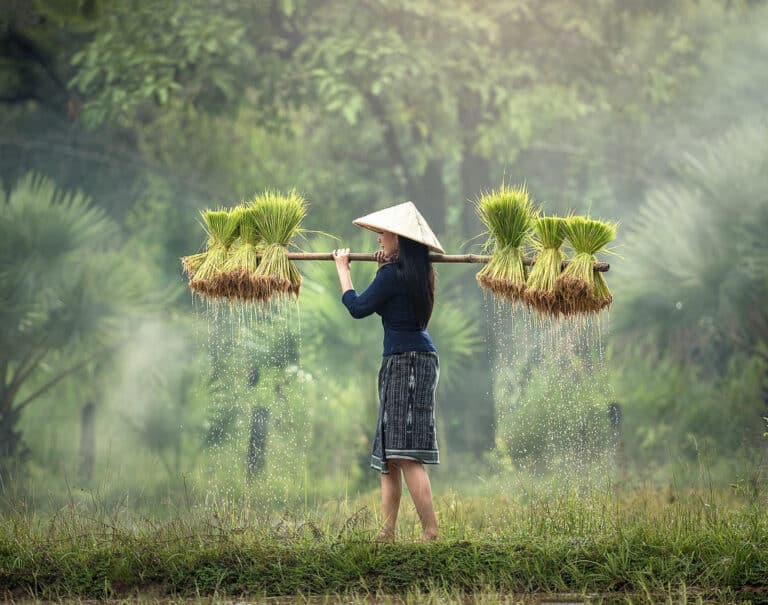 Cambodge